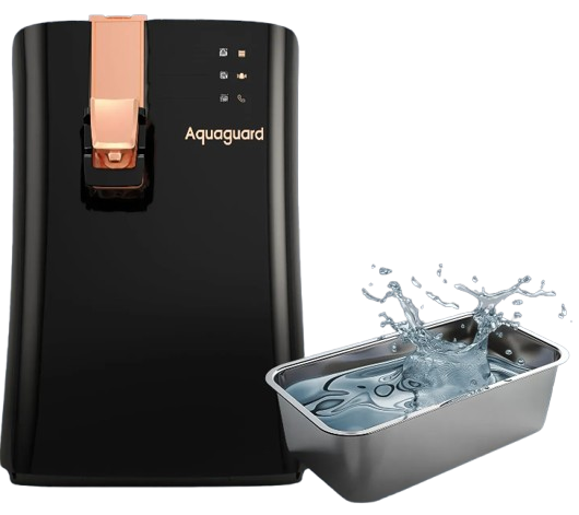 Aquaguard Ritz Pro