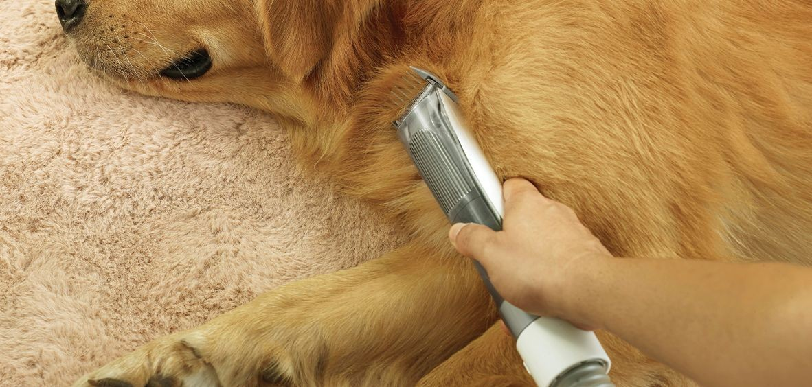 Titanium Duo Filters