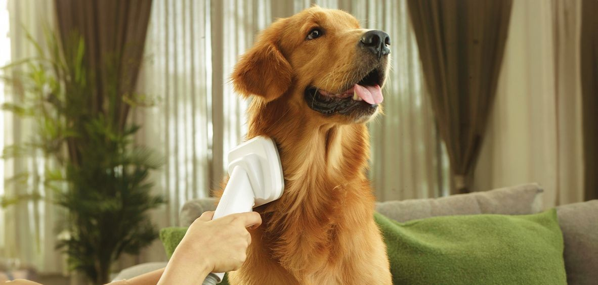 Stainless Steel Tank