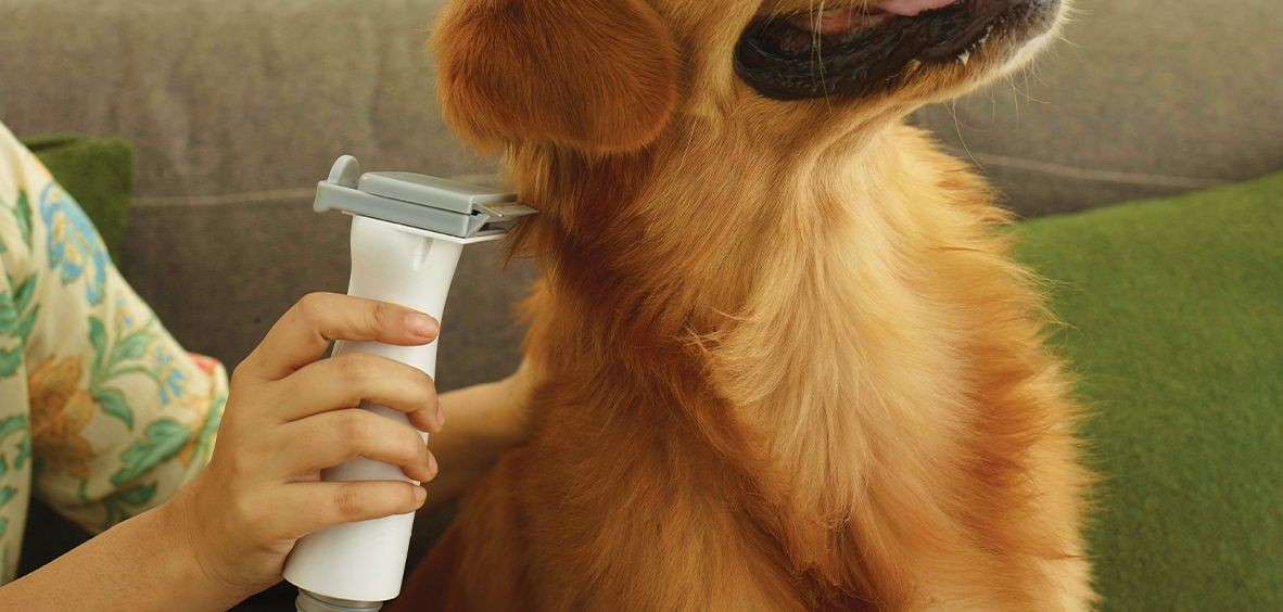 3-in-1 Active Copper